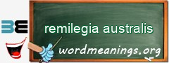 WordMeaning blackboard for remilegia australis